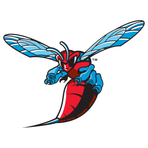 Delaware State Hornets Football - Official Ticket Resale Marketplace
