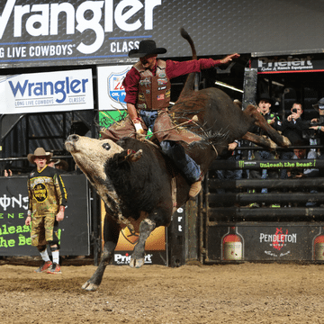 Picture of a bull rider and bull in competition.