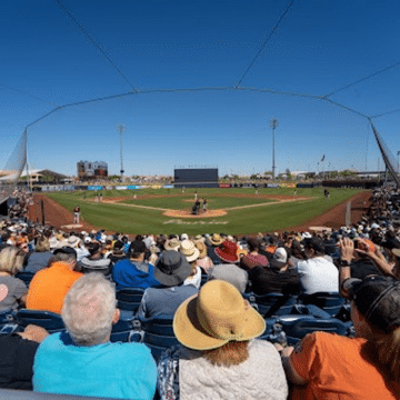 Fans watching a Spring Training game at Peoria Sports Complex.