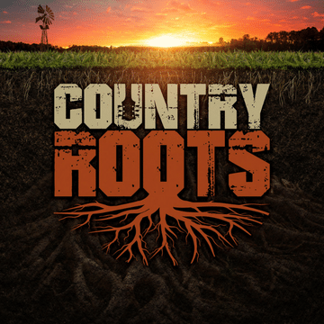 Graphic with Country Roots Festival logo laid over a sunset.
