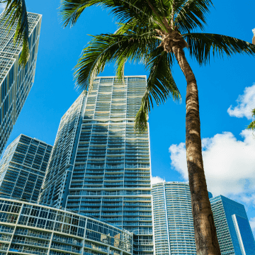 A palm tree in front of large commercial offices with a clear sky behind them.